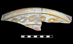 North Devon Sgraffito dish with incised repeating spiral (curlicue) motif along rim.